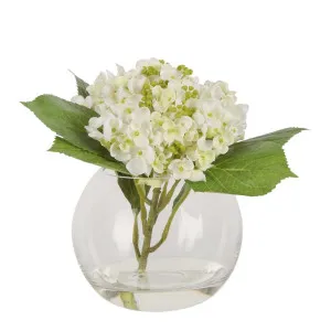 Stacy White Hydrangea Arrangement by Florabelle Living, a Plants for sale on Style Sourcebook