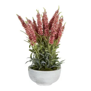 Veronica Arrangement In Cement Pot Pink by Florabelle Living, a Plants for sale on Style Sourcebook