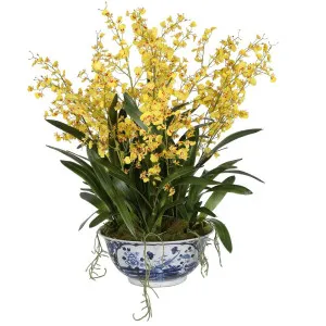 Ren Dancing Orchid Arrangement by Florabelle Living, a Plants for sale on Style Sourcebook