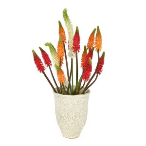 Red Hot Poker Arrangement by Florabelle Living, a Plants for sale on Style Sourcebook