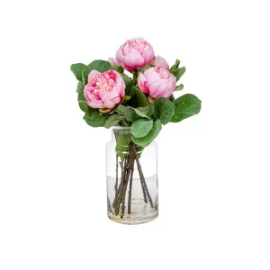 Pink Peony In Toby Vase Sml by Florabelle Living, a Plants for sale on Style Sourcebook