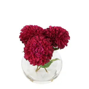 Dahlia Delight Burgundy Arrangement by Florabelle Living, a Plants for sale on Style Sourcebook