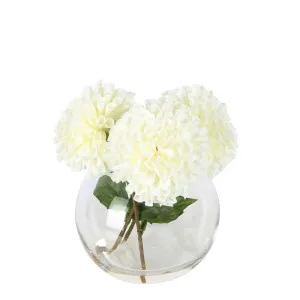 White Dahlia Delight Arrangement by Florabelle Living, a Plants for sale on Style Sourcebook