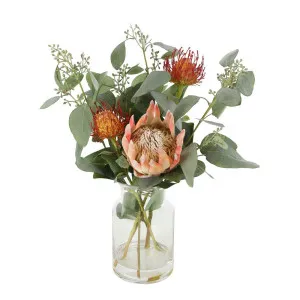 Lynne Orange Native Arrangement by Florabelle Living, a Plants for sale on Style Sourcebook