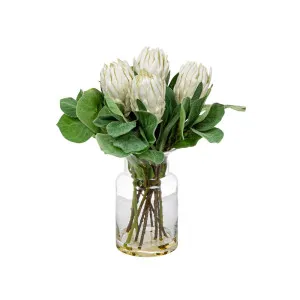 White Protea In Toby Vase Sml by Florabelle Living, a Plants for sale on Style Sourcebook