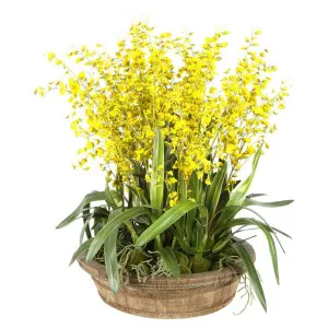 Mikaela Yellow Dancing Orchid Arrangement by Florabelle Living, a Plants for sale on Style Sourcebook
