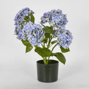 Potted Real Touch Hydrangea Blue 53Cm by Florabelle Living, a Plants for sale on Style Sourcebook