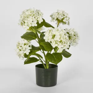 Potted Real Touch Hydrangea White 53Cm by Florabelle Living, a Plants for sale on Style Sourcebook