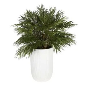Bamboo Leaf Cluster Small Planter by Florabelle Living, a Plants for sale on Style Sourcebook