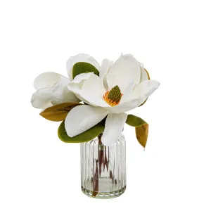 Magnolia In Glass Vase 30Cm White by Florabelle Living, a Plants for sale on Style Sourcebook