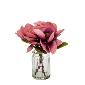 Magnolia In Glass Vase 30Cm Plum by Florabelle Living, a Plants for sale on Style Sourcebook