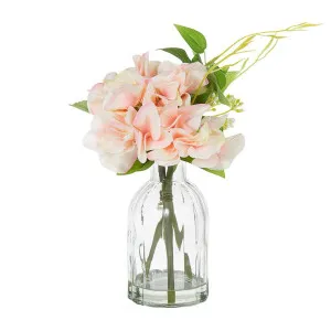Hydrangea In Glass Vase Pink 23Cm by Florabelle Living, a Plants for sale on Style Sourcebook