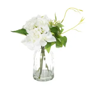 Hydrangea In Glass Vase 23Cm White by Florabelle Living, a Plants for sale on Style Sourcebook