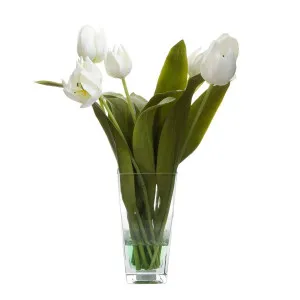 Tulips In Glass Vase 50Cm - White by Florabelle Living, a Plants for sale on Style Sourcebook