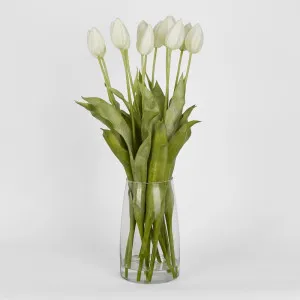 Tulip In Water Vase by Florabelle Living, a Plants for sale on Style Sourcebook