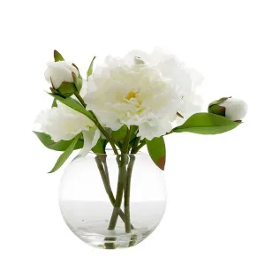 Peony In Water Bowl White by Florabelle Living, a Plants for sale on Style Sourcebook