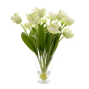 Tulip In Water In Glass Vase Parrot White by Florabelle Living, a Plants for sale on Style Sourcebook