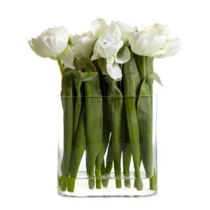 Tulip In Water In Vase White by Florabelle Living, a Plants for sale on Style Sourcebook