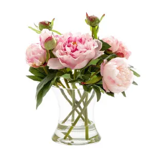 Peony In Water In Glass Vase Dk Pink by Florabelle Living, a Plants for sale on Style Sourcebook