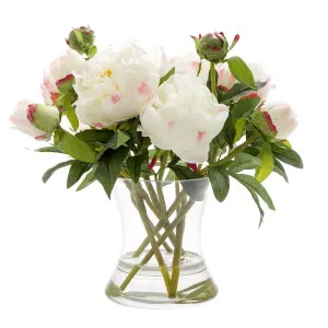 Peony In Water In Glass Vase White by Florabelle Living, a Plants for sale on Style Sourcebook