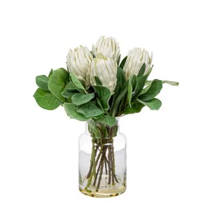 White Protea In Toby Vase Sml by Florabelle Living, a Plants for sale on Style Sourcebook