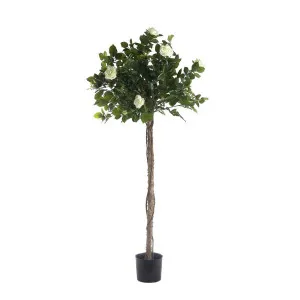 Rose Topiary Light White 1.4M by Florabelle Living, a Plants for sale on Style Sourcebook