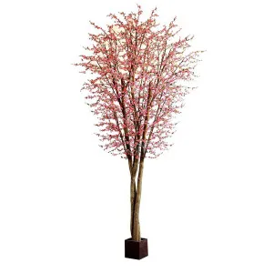 5M Giant Cherry Blossom Tree 9360 Lvs by Florabelle Living, a Plants for sale on Style Sourcebook