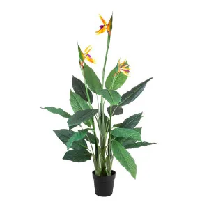 Flowering Bird Of Paradise 150Cm by Florabelle Living, a Plants for sale on Style Sourcebook