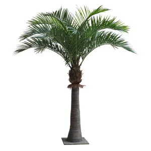 Coco Palm 2.2M 16 Fronds 1072 Lvs by Florabelle Living, a Plants for sale on Style Sourcebook