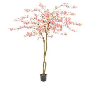 Cherry Blossoms Tree 150Cm by Florabelle Living, a Plants for sale on Style Sourcebook