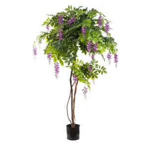 Wisteria Tree Purple 1.9M by Florabelle Living, a Plants for sale on Style Sourcebook