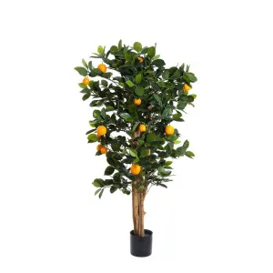 Golden Orange Tree 1.15M by Florabelle Living, a Plants for sale on Style Sourcebook