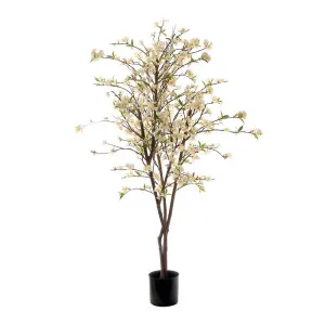 Cherry Blossom Tree 1.8M by Florabelle Living, a Plants for sale on Style Sourcebook