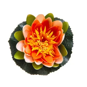 Floating Waterlily 11Cm Peach by Florabelle Living, a Plants for sale on Style Sourcebook