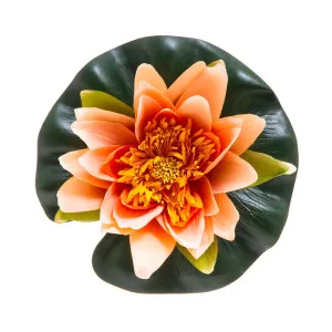 Floating Waterlily 20Cm Peach by Florabelle Living, a Plants for sale on Style Sourcebook