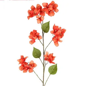Bougainvillea Spray 118Cm Orange by Florabelle Living, a Plants for sale on Style Sourcebook