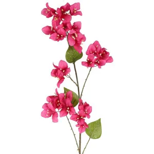 Bougainvillea Spray 118Cm Beauty by Florabelle Living, a Plants for sale on Style Sourcebook
