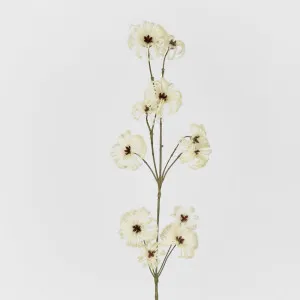 Wild Cotton Spray by Florabelle Living, a Plants for sale on Style Sourcebook