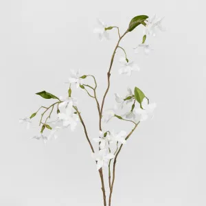 Wild Clematis Spray by Florabelle Living, a Plants for sale on Style Sourcebook
