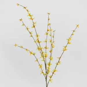 Forsythia Spray by Florabelle Living, a Plants for sale on Style Sourcebook