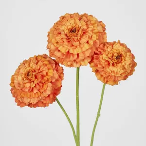 Marigold Spray Orange by Florabelle Living, a Plants for sale on Style Sourcebook