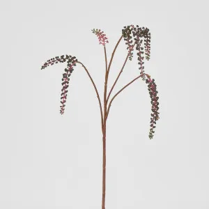 Phytolacca Americana Spray by Florabelle Living, a Plants for sale on Style Sourcebook