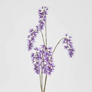 Wisteria Spray Lavender by Florabelle Living, a Plants for sale on Style Sourcebook
