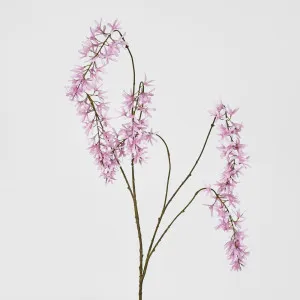 Wisteria Spray Pink by Florabelle Living, a Plants for sale on Style Sourcebook