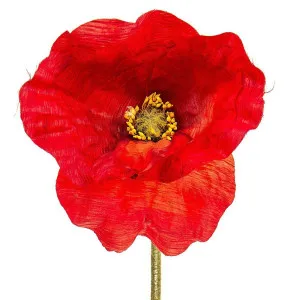 Giant Poppy Single Stem 60Cm Red by Florabelle Living, a Plants for sale on Style Sourcebook