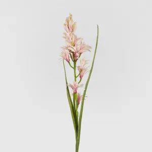 Tuberose Stem Pink 76Cm by Florabelle Living, a Plants for sale on Style Sourcebook