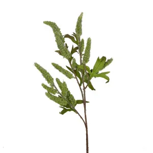 Sage Stem 70Cm Green by Florabelle Living, a Plants for sale on Style Sourcebook