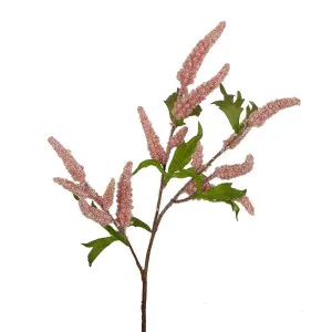 Sage Stem 70Cm Pink by Florabelle Living, a Plants for sale on Style Sourcebook