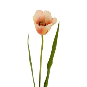 Tulip Real Touch Stem 73Cm Peach by Florabelle Living, a Plants for sale on Style Sourcebook