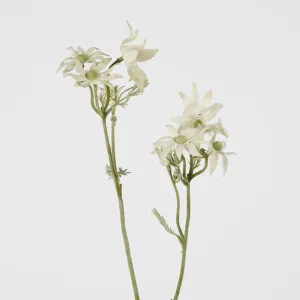 Flannel Flower Spray 75Cm by Florabelle Living, a Plants for sale on Style Sourcebook
